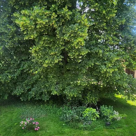 La P'tite Maison